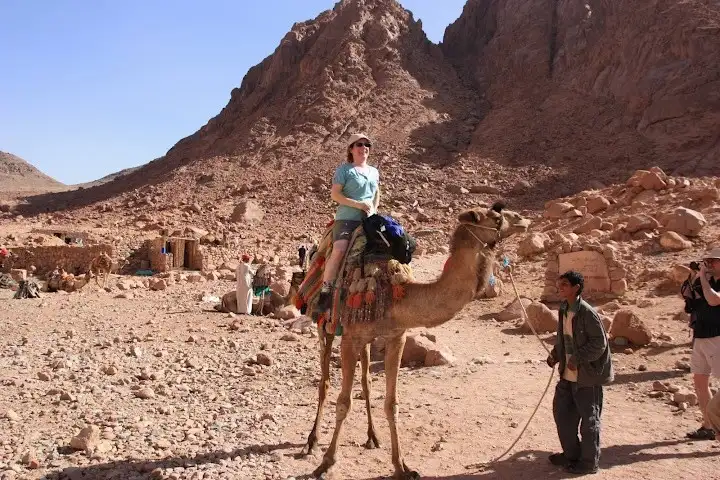 paseo por camello en el desierto